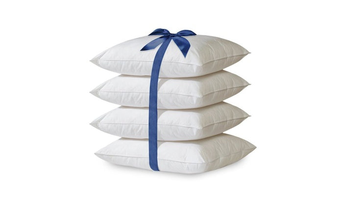Throw Pillow Inserts 20x20 – Hypoallergenic Down Alternative (2/4 Pack)