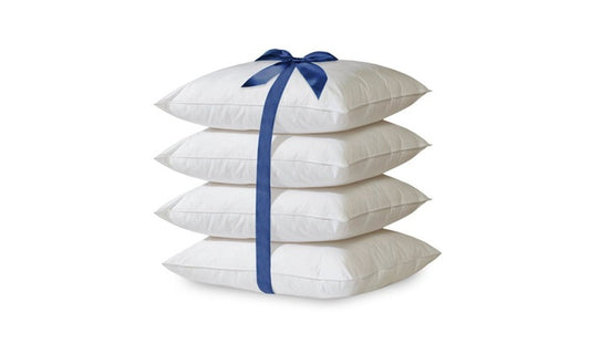 Throw Pillow Inserts 20x20 – Hypoallergenic Down Alternative (2/4 Pack)
